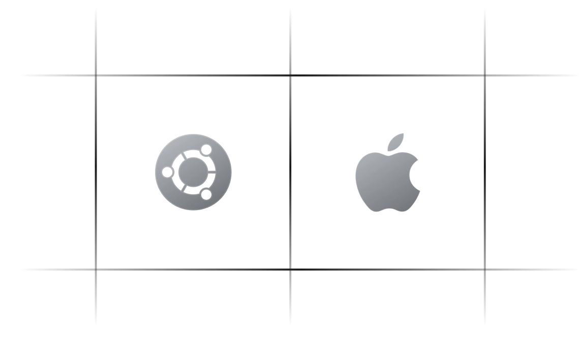 x64 and macOS supported